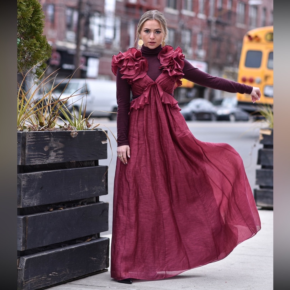 Zimmermann Lady Beetle Gown in Berry